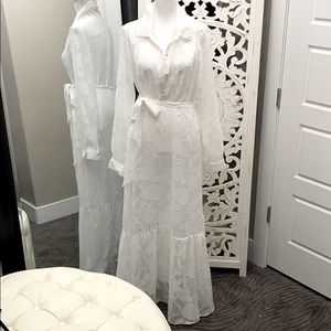 A Pea in the Pod Full Length Sheer Dress